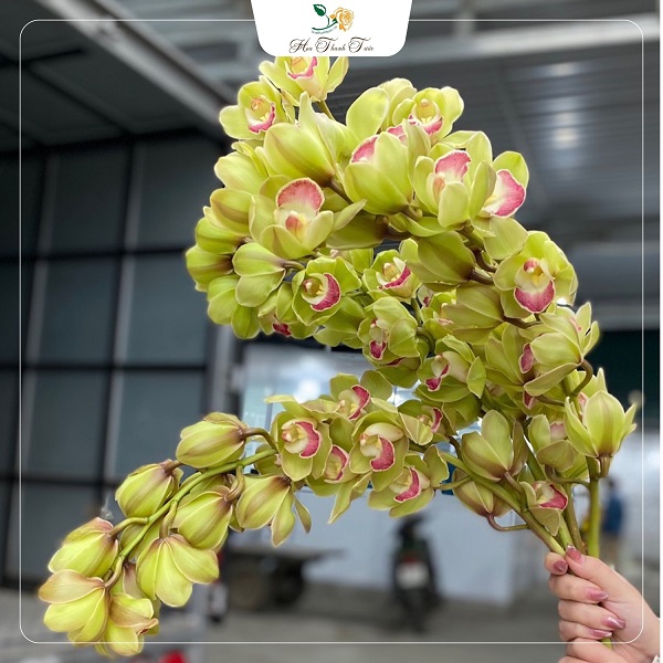 337398657_753009799509545_6956623368409155781_n 337398657 753009799509545 6956623368409155781 n