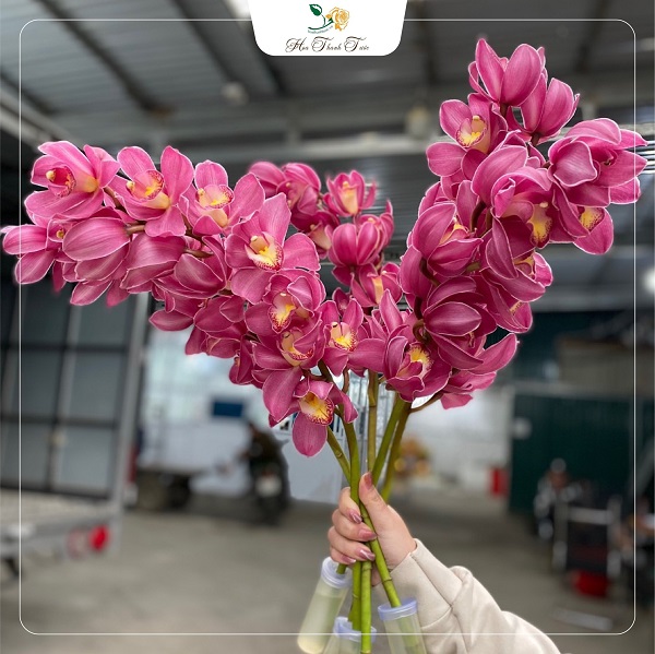 337553462_1305177166697224_1829405697437749012_n 337553462 1305177166697224 1829405697437749012 n