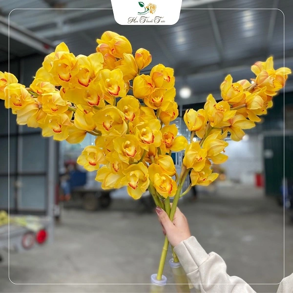 337673689_1389734181845659_1346974494405969025_n 337673689 1389734181845659 1346974494405969025 n