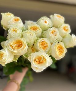 Hồng ButterCup Đà Lạt