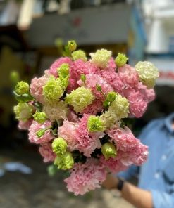 Lan Tường Hồng Quang