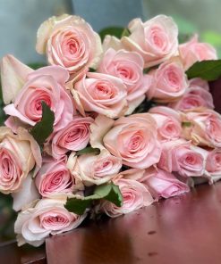 Ohara hồng Đà Lạt