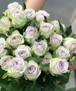 Hồng tím khói Côn Minh