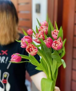 Tulip Double Colombus