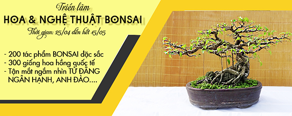 trien lam hoa va nghe thuat bonsai
