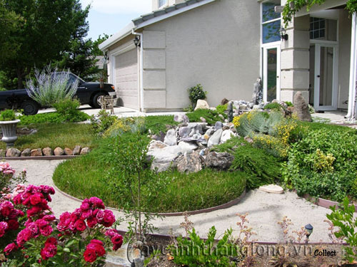 bai_co_2 Trang trí cho bãi cỏ trong vườn | hoala.vn