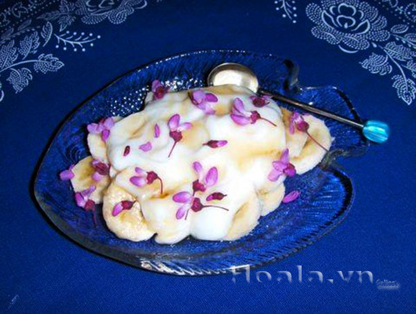 cay-hoa-hanh-phuc-1
