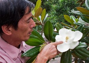 Những cây hoa quý được trồng nhiều ở những nơi tâm linh
