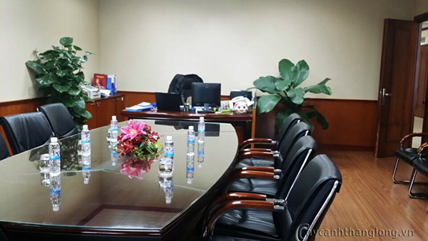 cho thue cay van phong tai ha noi 02