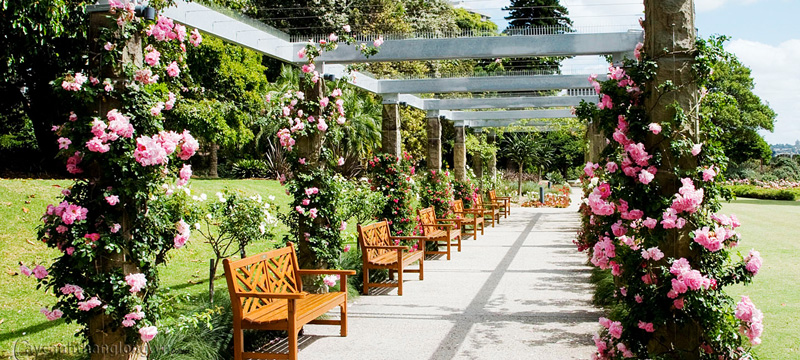 cong-vien-tieu-canh-vuon-hoa-hong-02