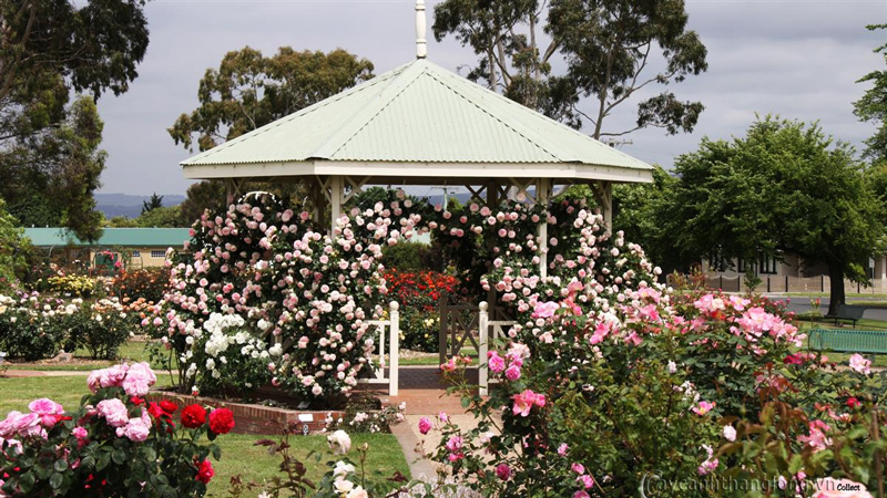 cong-vien-tieu-canh-vuon-hoa-hong-03