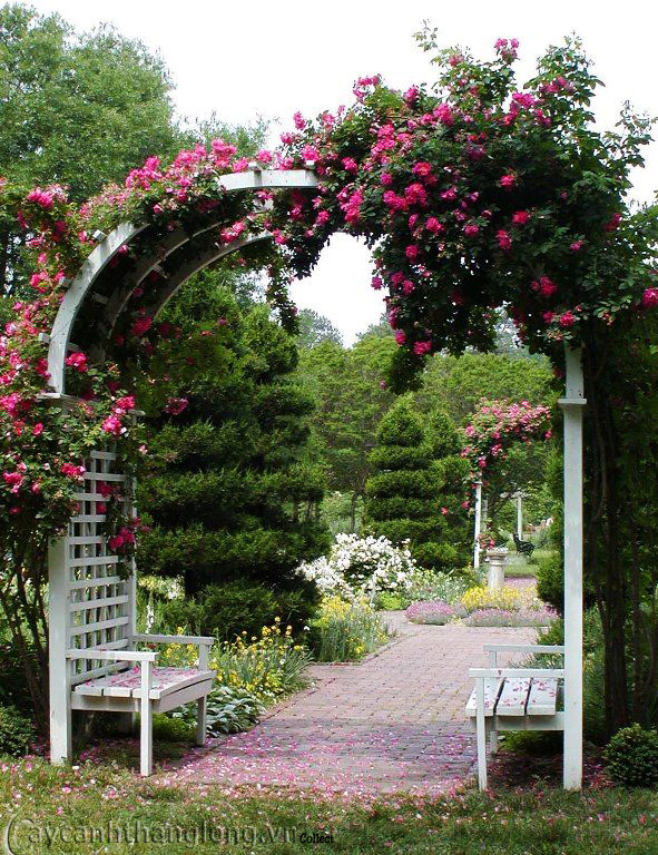 cong-vien-tieu-canh-vuon-hoa-hong-08