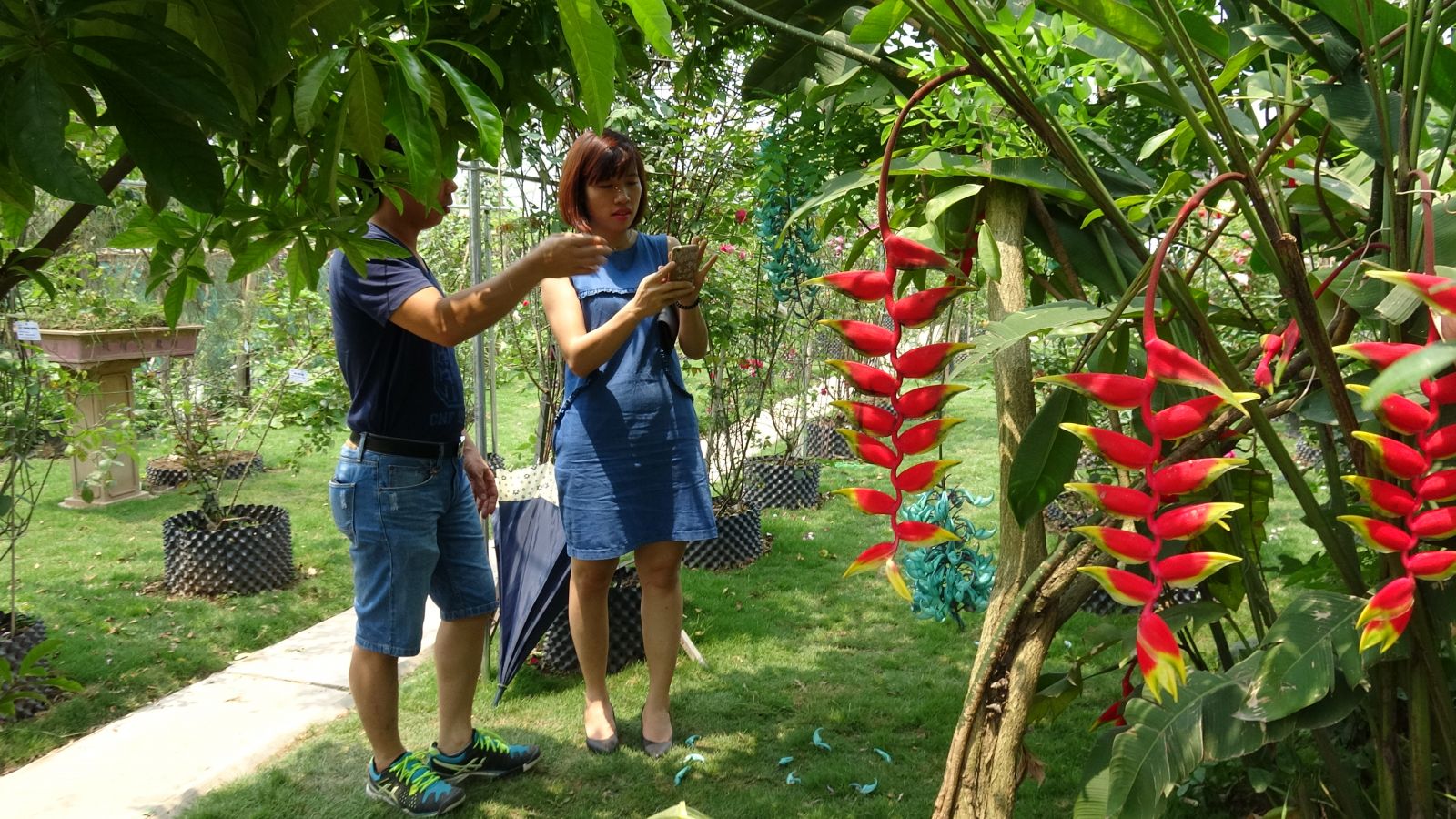 chuoi trang phao