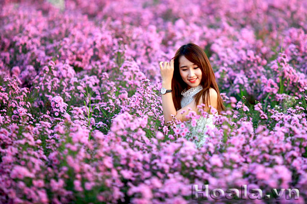 hoa-thach-thao-1