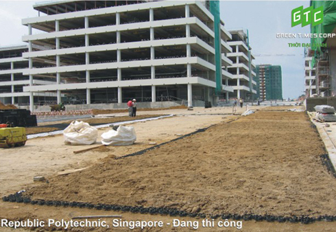 TurfPave - vỉ trồng cỏ trên bãi đậu xe | hoala.vn