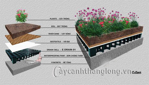 Kỹ thuật làm vườn trên mái – Ứng dụng E Drain 01 | hoala.vn