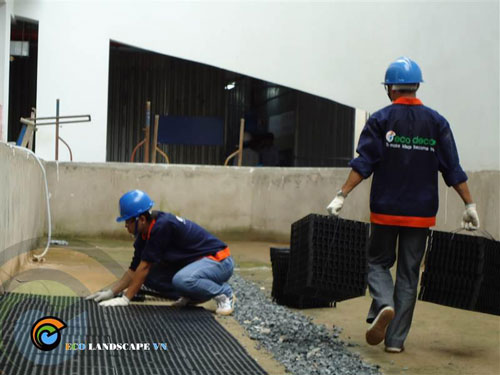 Kỹ thuật làm vườn trên mái – Ứng dụng E Drain 01 | hoala.vn