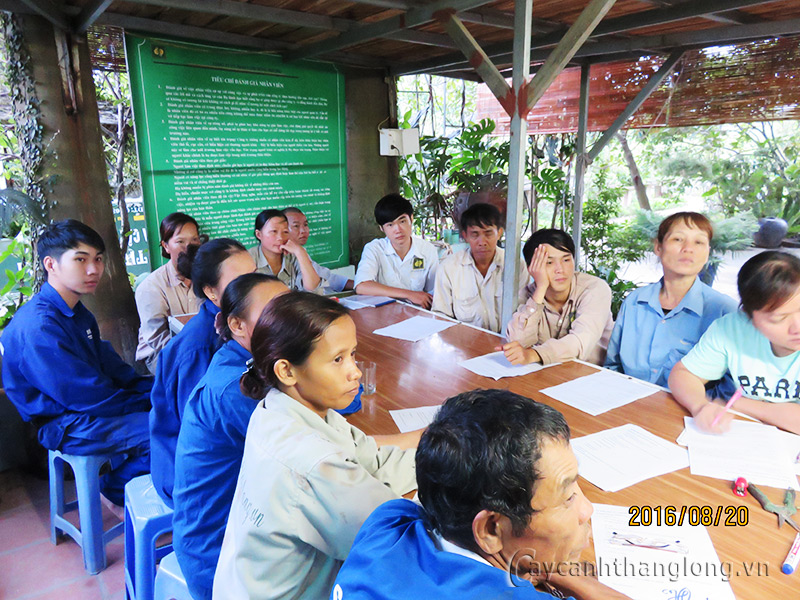 ky thuat trong cay bon chau va cham soc cay sau trong 02