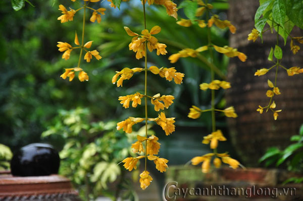 Hình ảnh có liên quan