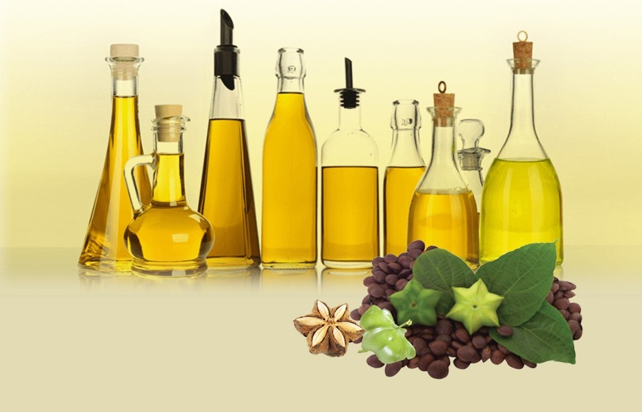 nguon-dinh-duong-sachi dau-sachi