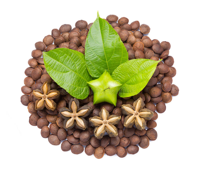 qua-va-hat-sachi qua-hat-sachi