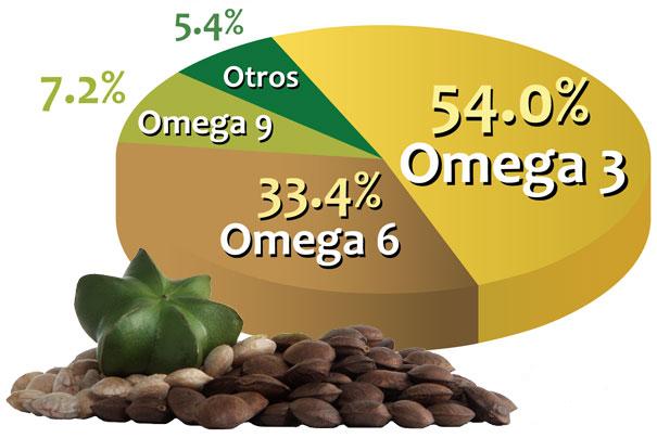 thanh-phan-dau-sachi thanh-phan-dau-sachi