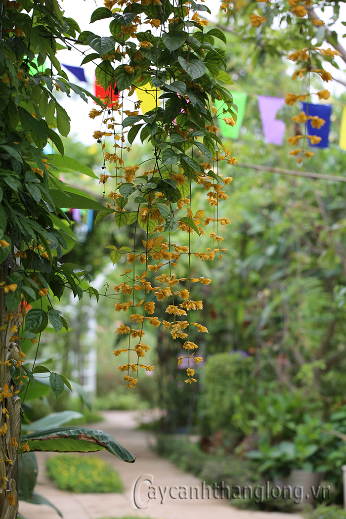 du lich trang trai