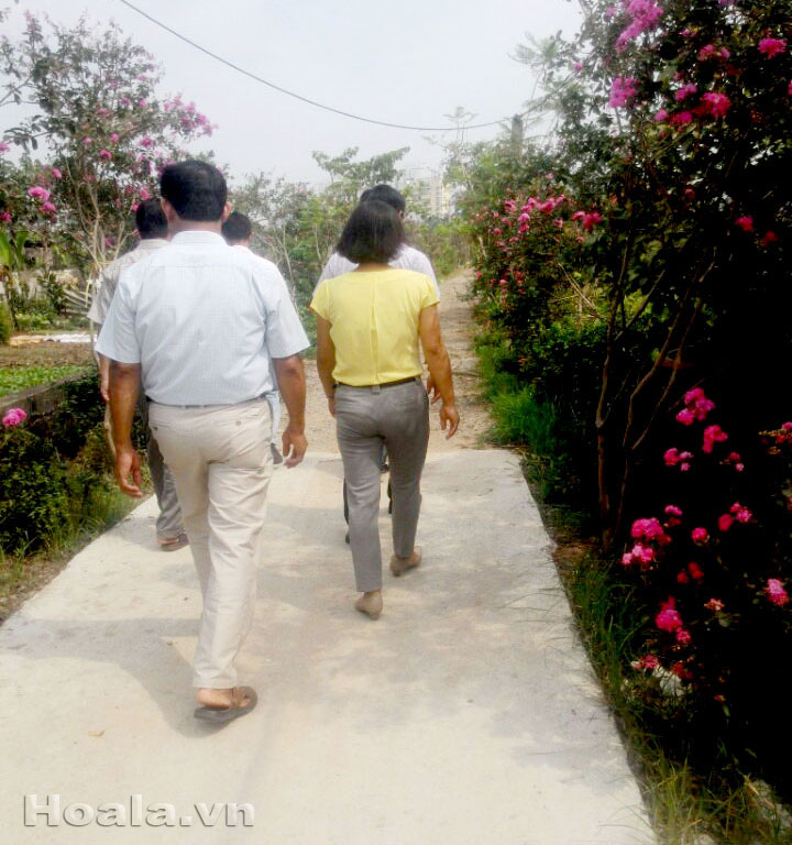 hang hoa tuong vi - cay canh thang long