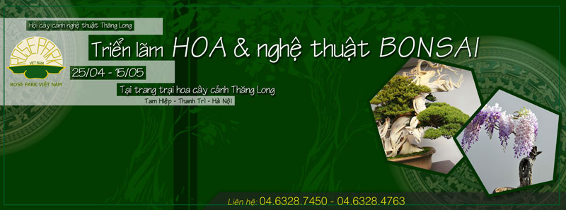 trien lam hoa va nghe thuat bonsai