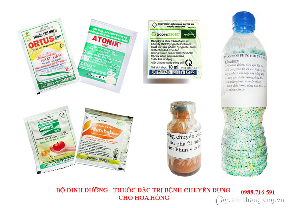 bo phan bon, thuoc tri benh chuyen dung