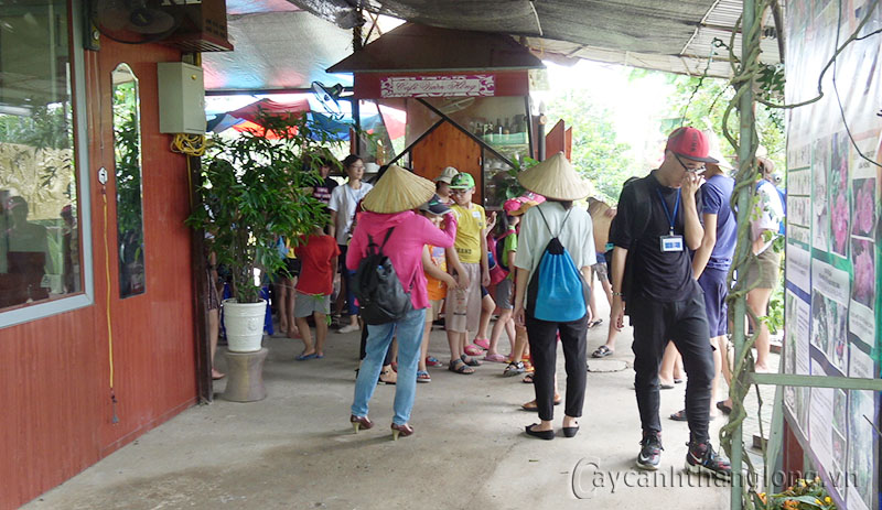 du lich trang trai hoa cay canh thang long