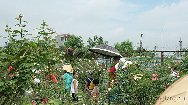 du lich trang trai