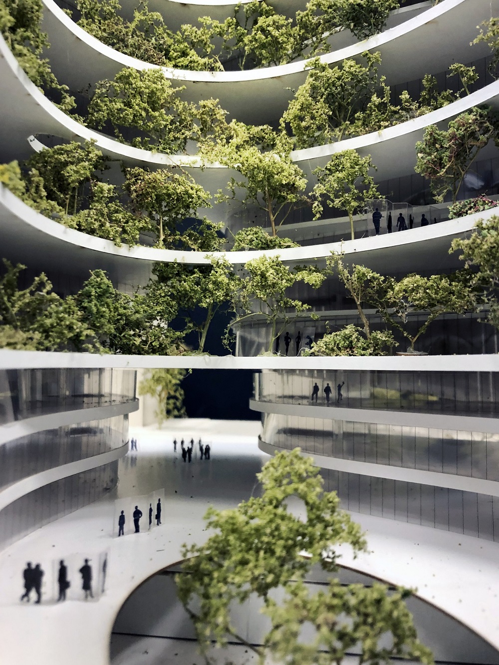 cay xanh trong do thi 2