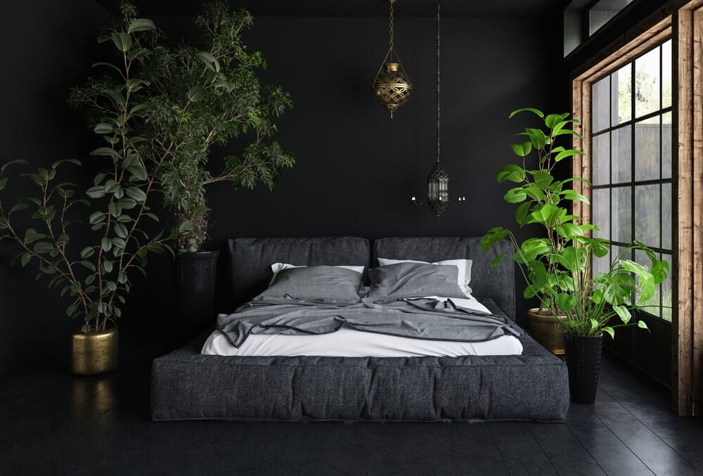 cay xanh trong do thi 3