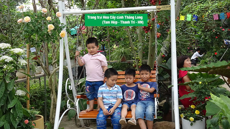 trang trai hoa cay canh thang long