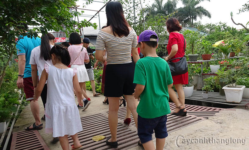 du lich trang trai hoa cay canh thang long