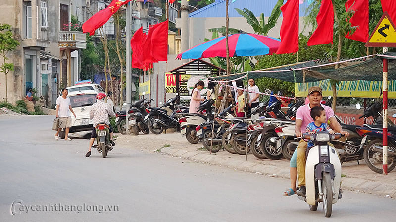 trang trai hoa