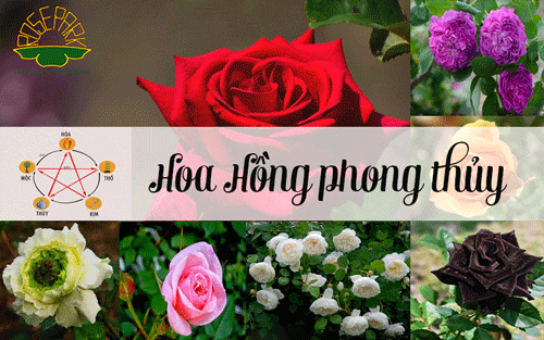 trang-tri-tet-bang-hoa-hong-4