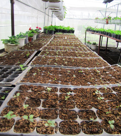 icon21371540962 icon21371540962