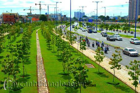 Các nguyên tắc định hướng thiết kế cảnh quan đô thị | hoala.vn