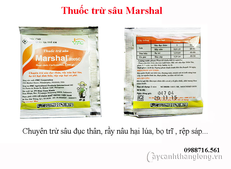 marshal-01