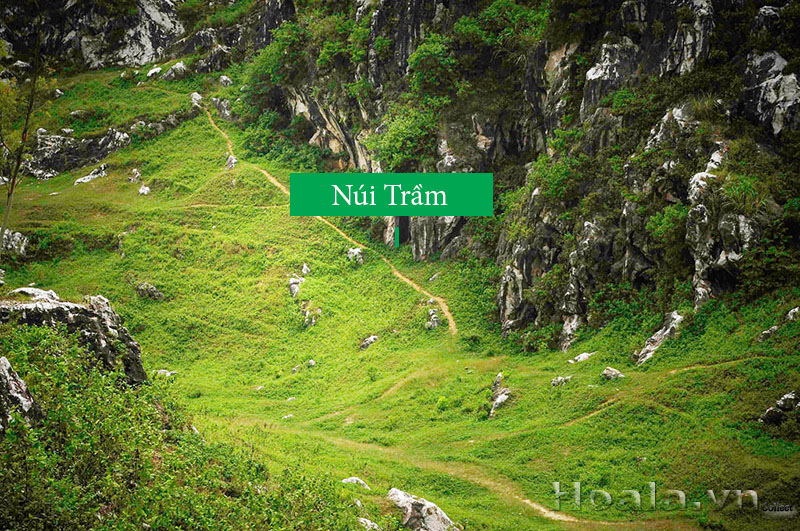 nui tram