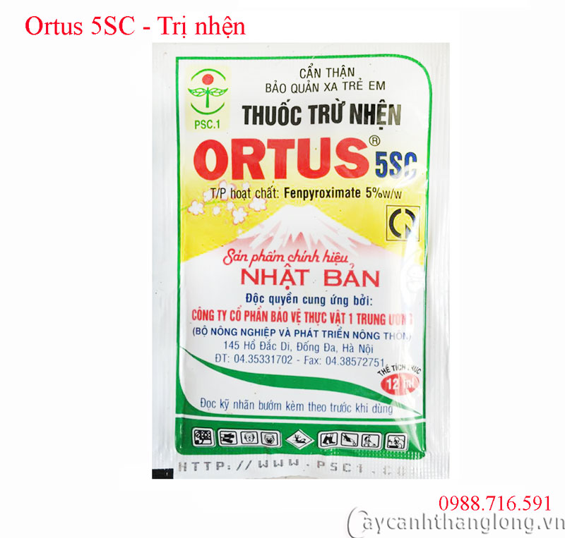 Ortus