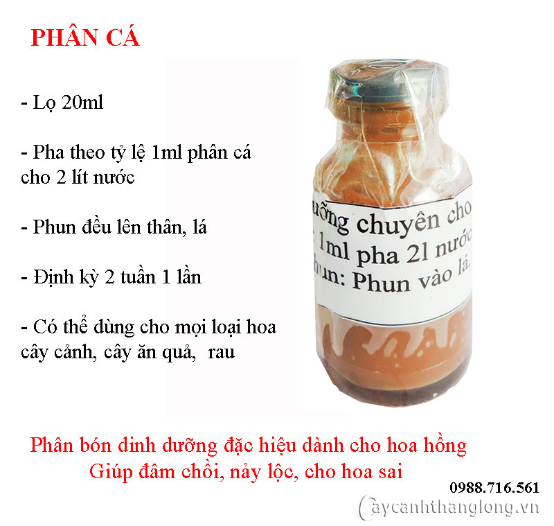 dinh duong dac hieu