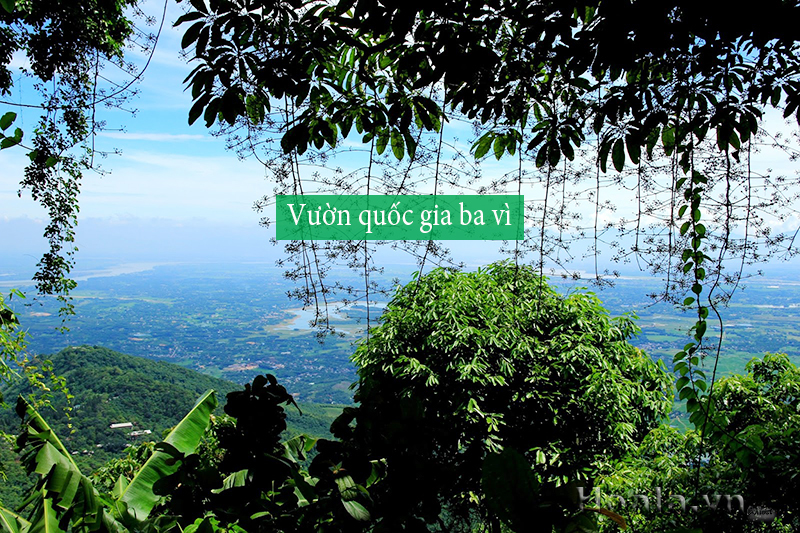 vuon quoc gia
