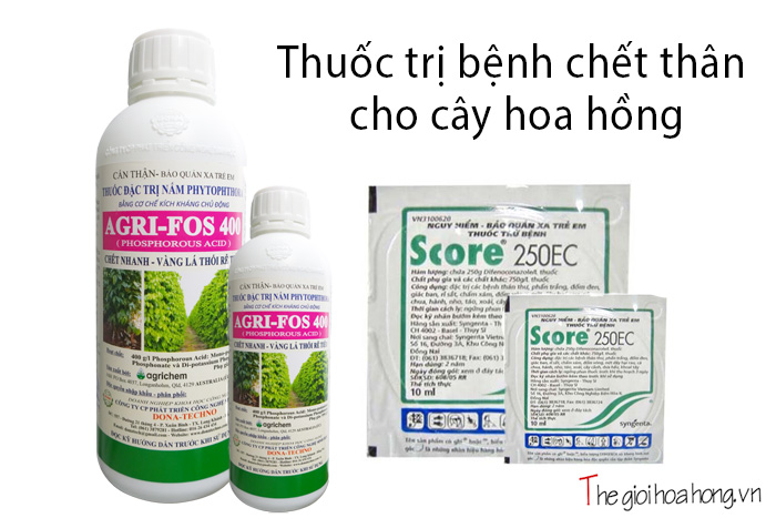 thuoc