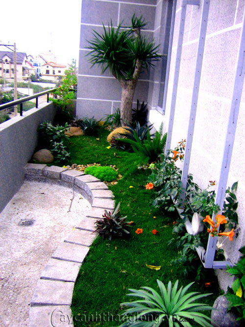 Quy tắc thiết kế tiểu cảnh sân vườn | hoala.vn