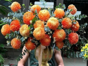 Cách cắm hoa cúc đẹp và đơn giản nhất