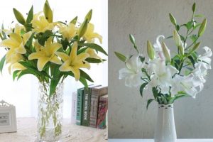 15 cách cắm hoa ly đẹp mắt và tươi lâu nhất