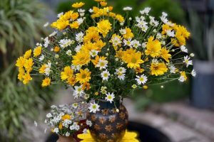 20+ mẫu cắm hoa ngày tết đẹp nhất hiện nay